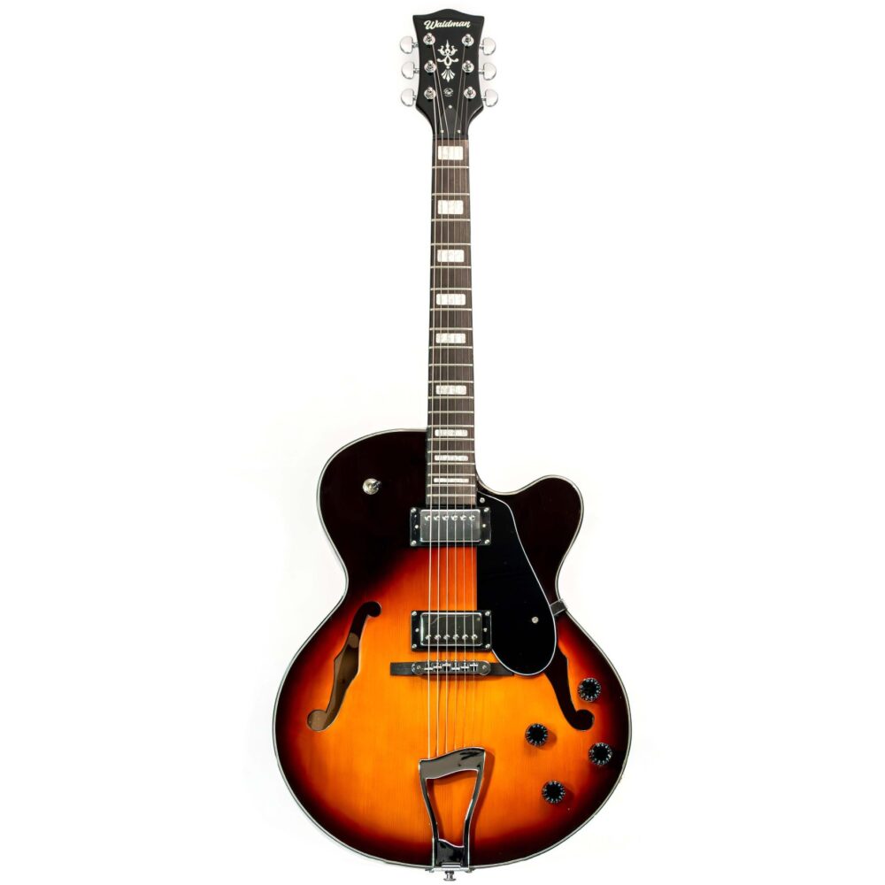 Guitarra Waldman Semi-Acústica GHJ100 VS