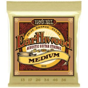 Encordoamento Ernie Ball Earthwood P02002 Aço